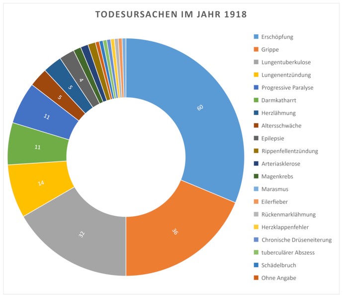Todesursachen im Jahr 1918, Grafik: LWL/Emil Schoppmann